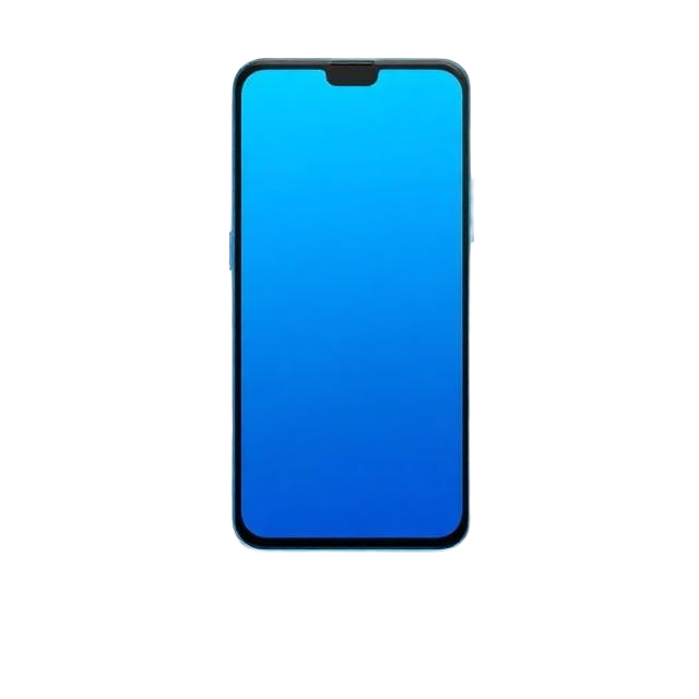 Flagship Smartphone Fest
